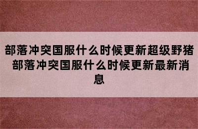 部落冲突国服什么时候更新超级野猪 部落冲突国服什么时候更新最新消息